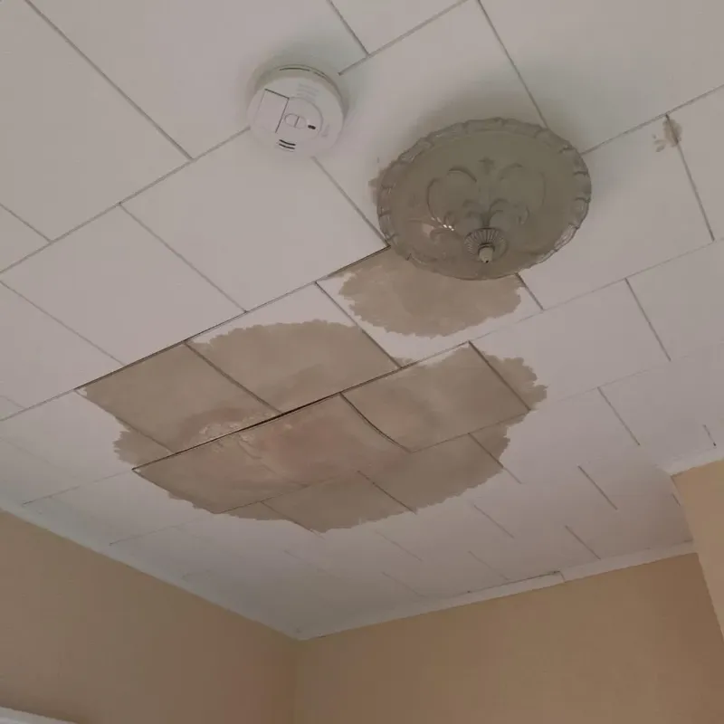 Ceiling Water Damage Repair in Bardstown, KY