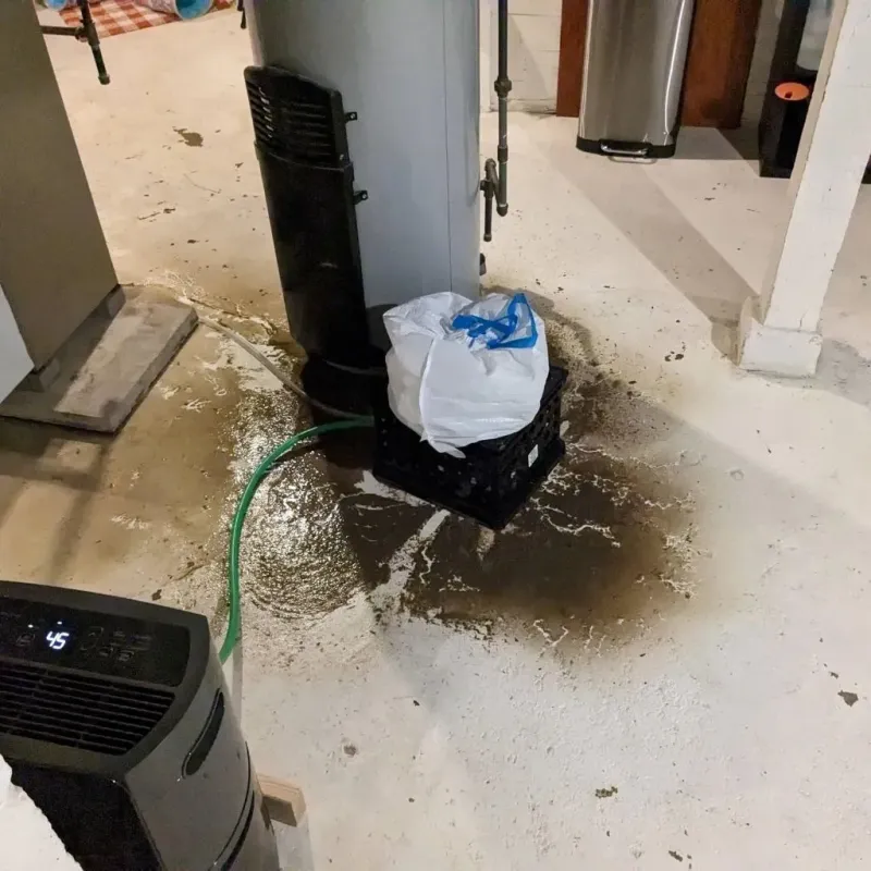 Sewage Backup Cleanup Service in Bardstown, KY